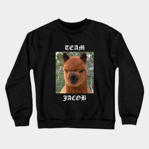 Team Jacob Crewneck Sweatshirt by averymuether